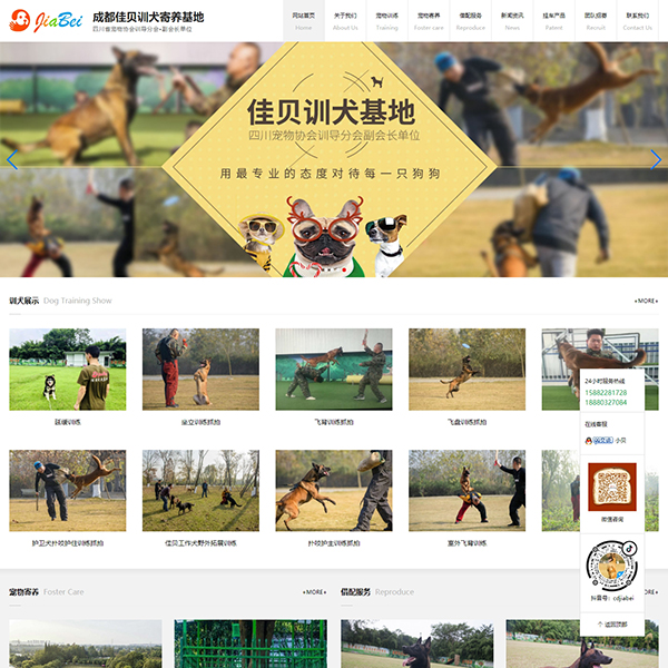 成都佳贝训犬寄养基地
