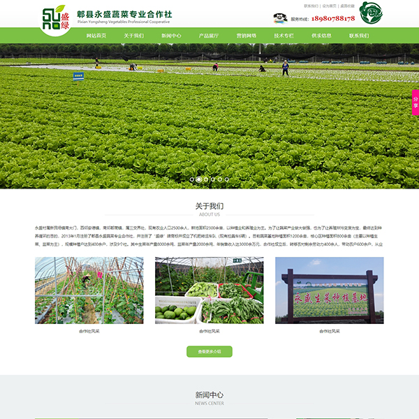 郫县永盛蔬菜专业合作社